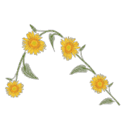 029