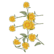 031