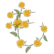 035