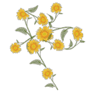 036
