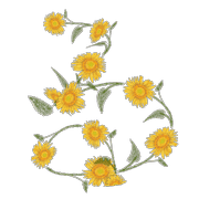 041