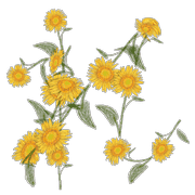 042