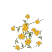 047