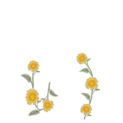 048
