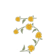 049