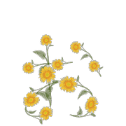 051