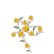 053