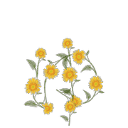 054