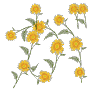 056