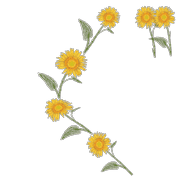 058