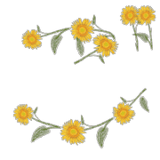 060