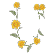 062