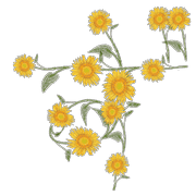 063