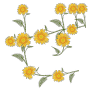064