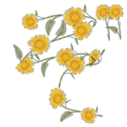 065