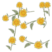 066