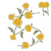 067