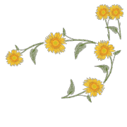 068