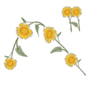 074
