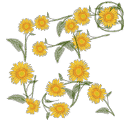080