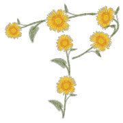 081