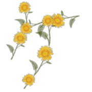 089
