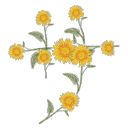 091