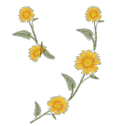 095