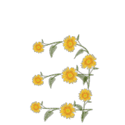 135