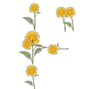 150