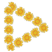 177