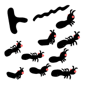 006