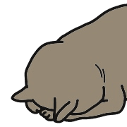 004