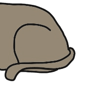 005