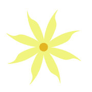 017