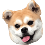 009