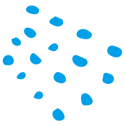 038