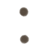 244