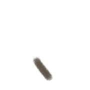 256