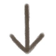 261