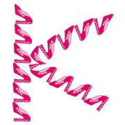 011