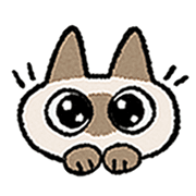 Kawaii Siamese รูปที่ 9