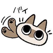 Kawaii Siamese รูปที่ 37