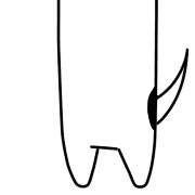 021