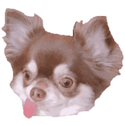 009