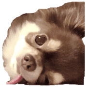 013