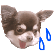 016