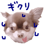 017