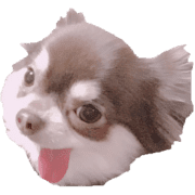 018