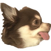 019